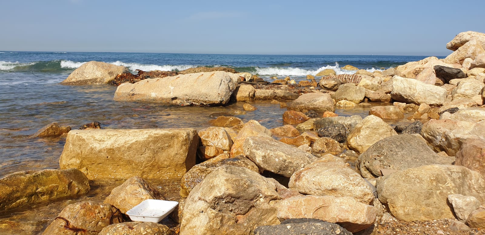 WhatsApp Image 2020-06-04 at 9.10.32 AM.jpeg.jpeg